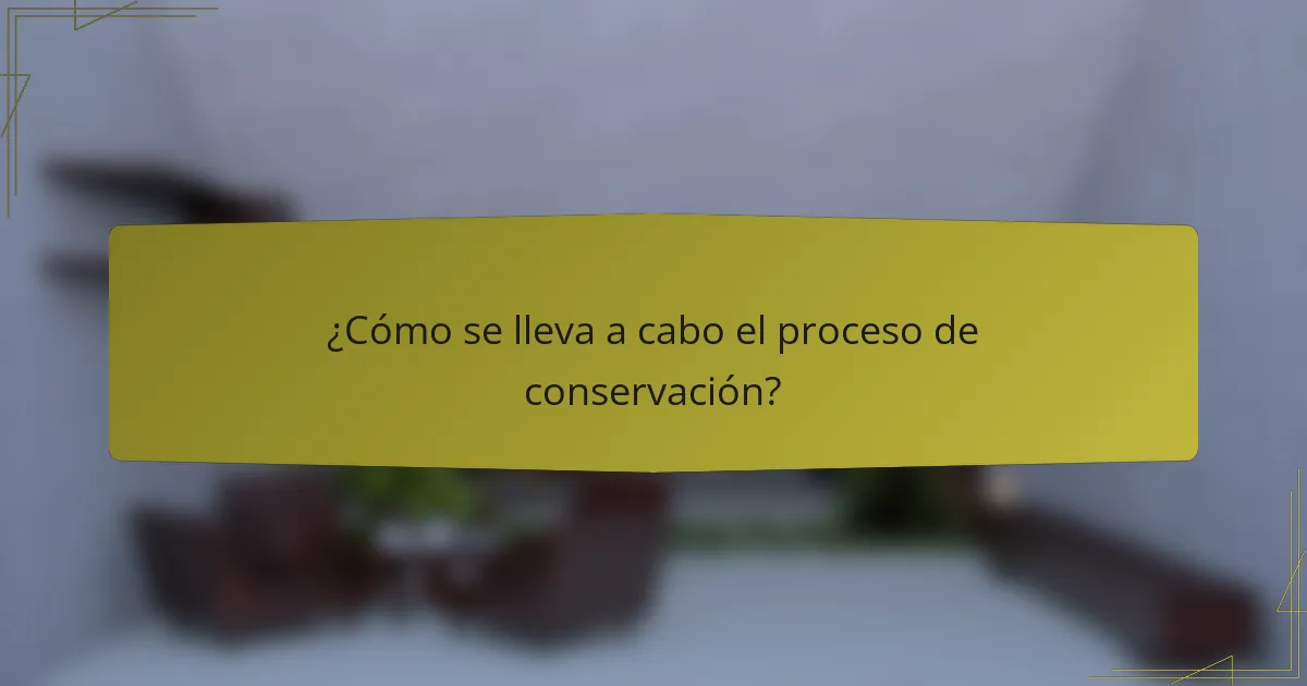 ¿Cómo se lleva a cabo el proceso de conservación?