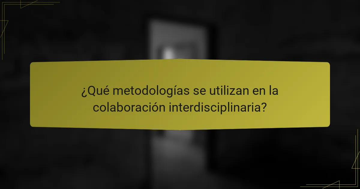 ¿Qué metodologías se utilizan en la colaboración interdisciplinaria?